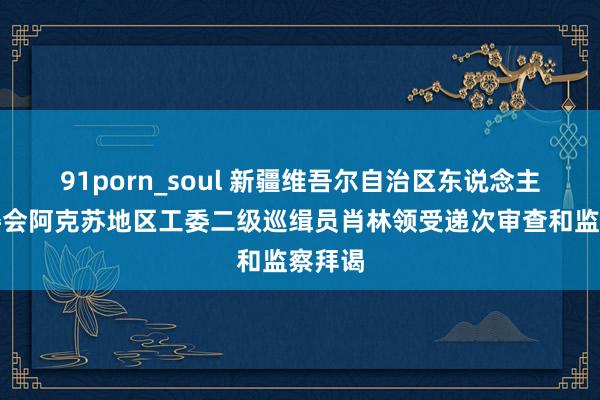 91porn_soul 新疆维吾尔自治区东说念主大常委会阿克苏地区工委二级巡缉员肖林领受递次审查和监察拜谒