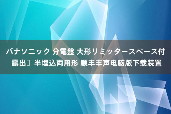 パナソニック 分電盤 大形リミッタースペース付 露出・半埋込両用形 顺丰丰声电脑版下载装置