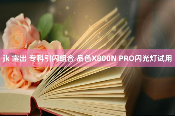 jk 露出 专科引闪组合 品色X800N PRO闪光灯试用