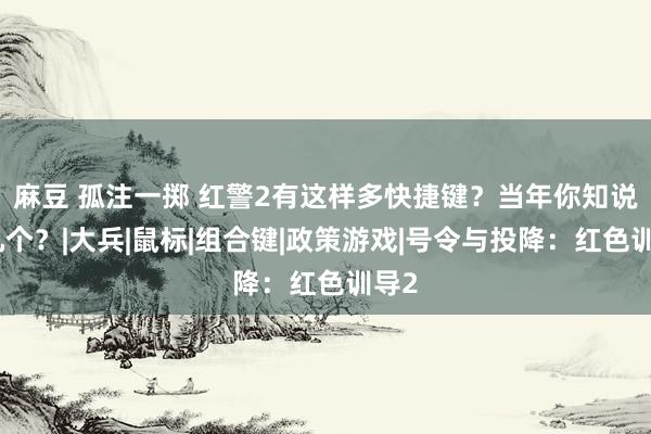 麻豆 孤注一掷 红警2有这样多快捷键？当年你知说念几个？|大兵|鼠标|组合键|政策游戏|号令与投降：红色训导2